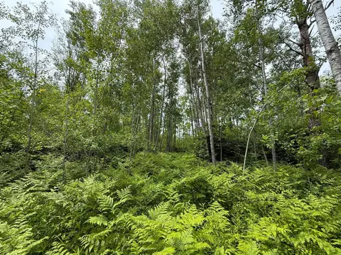 37920 170th Pl, Mcgregor, MN 55760 photo 38