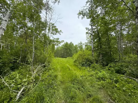 37920 170th Pl, Mcgregor, MN 55760 photo 46