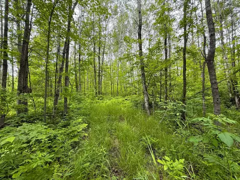 37920 170th Pl, Mcgregor, MN 55760 photo 31