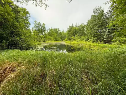 37920 170th Pl, Mcgregor, MN 55760 photo 32