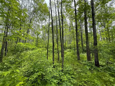 37920 170th Pl, Mcgregor, MN 55760 photo 30