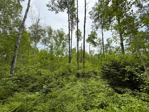 37920 170th Pl, Mcgregor, MN 55760 photo 42