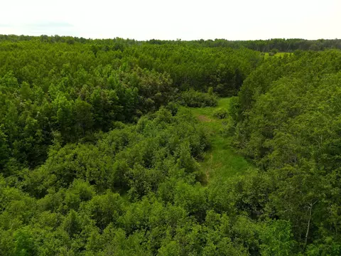 37920 170th Pl, Mcgregor, MN 55760 photo 15