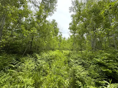 37920 170th Pl, Mcgregor, MN 55760 photo 39