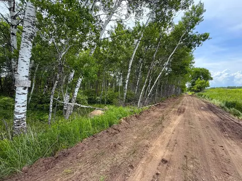 37920 170th Pl, Mcgregor, MN 55760 photo 44