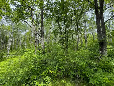 37920 170th Pl, Mcgregor, MN 55760 photo 24