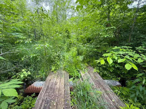 37920 170th Pl, Mcgregor, MN 55760 photo 35