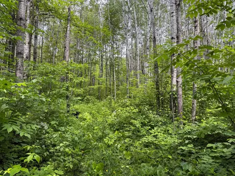 37920 170th Pl, Mcgregor, MN 55760 photo 28
