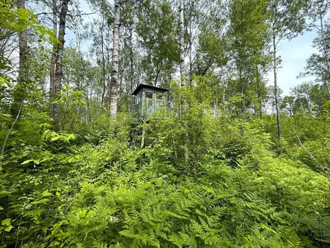 37920 170th Pl, Mcgregor, MN 55760 photo 21
