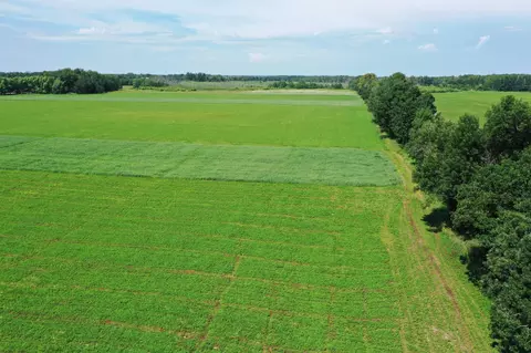 tbd 115th Ave, Eagle Bend, MN 56446