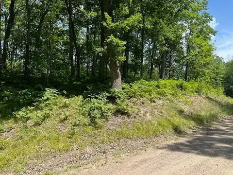 41988 251st Pl, Mcgregor, MN 55760 photo 39