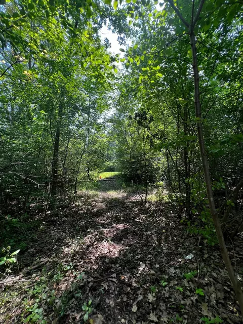 tbd Summit Ln, Mora, MN 55051 photo 8