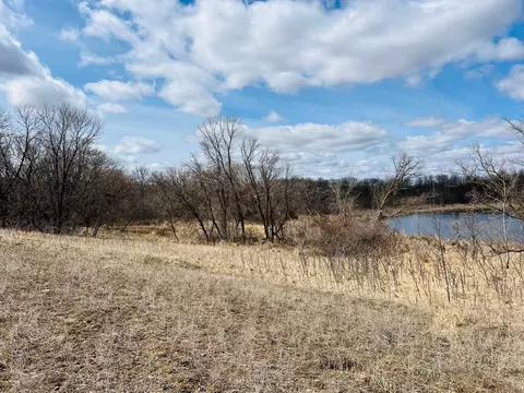 tbd 208th Ave, Erhard, MN 56534 photo 15