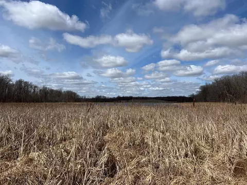 tbd 208th Ave, Erhard, MN 56534 photo 37