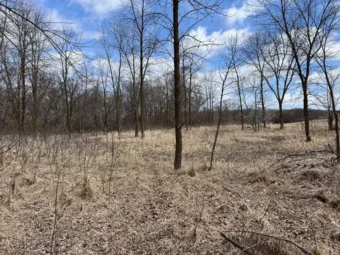 tbd 208th Ave, Erhard, MN 56534 photo 35