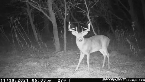 tbd 208th Ave, Erhard, MN 56534 photo 56
