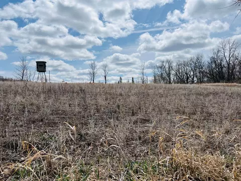tbd 208th Ave, Erhard, MN 56534 photo 14