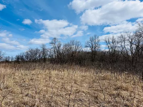 tbd 208th Ave, Erhard, MN 56534 photo 49