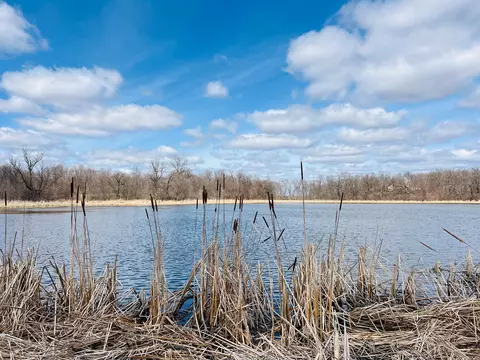 tbd 208th Ave, Erhard, MN 56534 photo 18