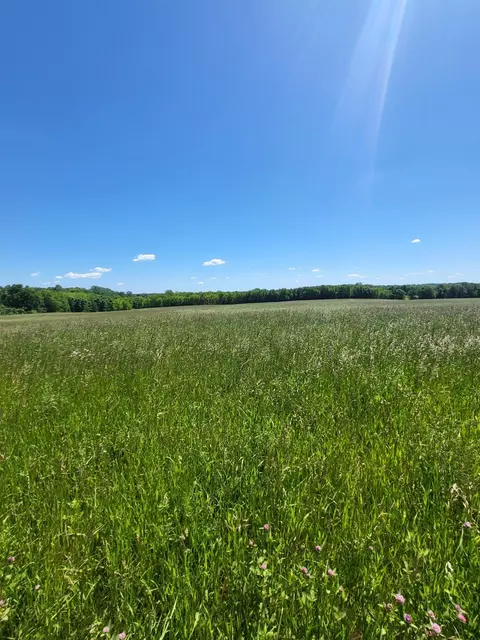 Nnn Nelson Road, Independence, MN 55328