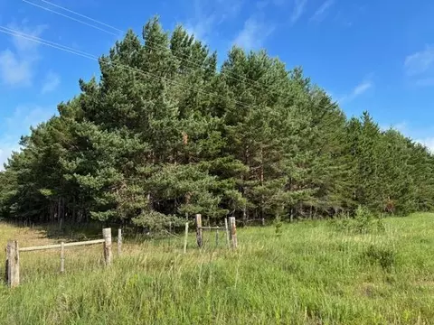 tbd 380th St, Menahga, MN 56464
