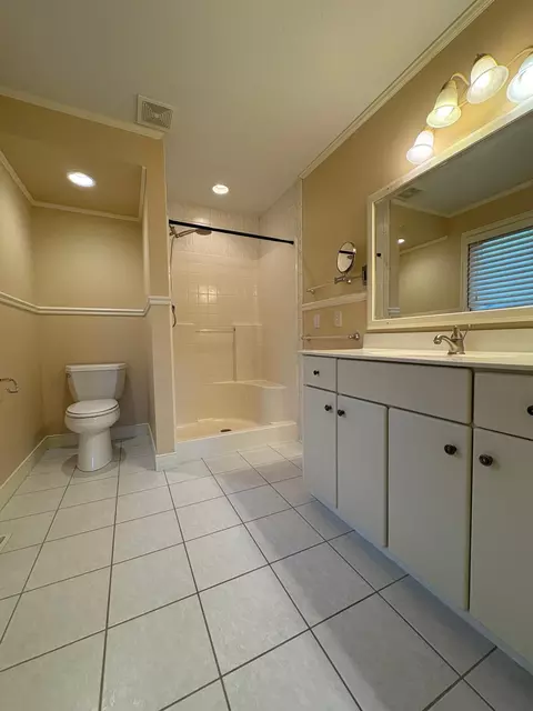 Bath - 53030 254th Ave, Plainview, MN 55964 photo 3 of 4