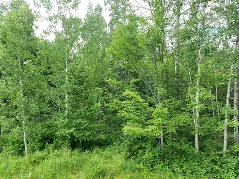 tbd 2 Christmas Point Rd NW, Walker, MN 56484 photo 5