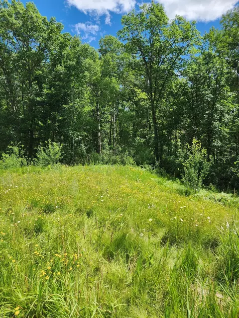 tbd SW 40th Ave SW, Walden Twp, MN 56474 photo 5