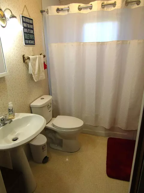 Other - 231 E Sorenson Ave, Appleton, MN 56208 photo 8 of 22