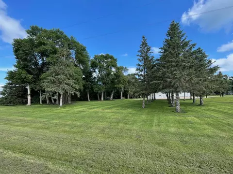 Exterior - 50128 850th Ave, Hector, MN 55342 photo 7 of 8