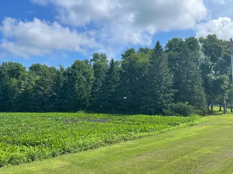 Other - 50128 850th Ave, Hector, MN 55342 photo 21 of 29