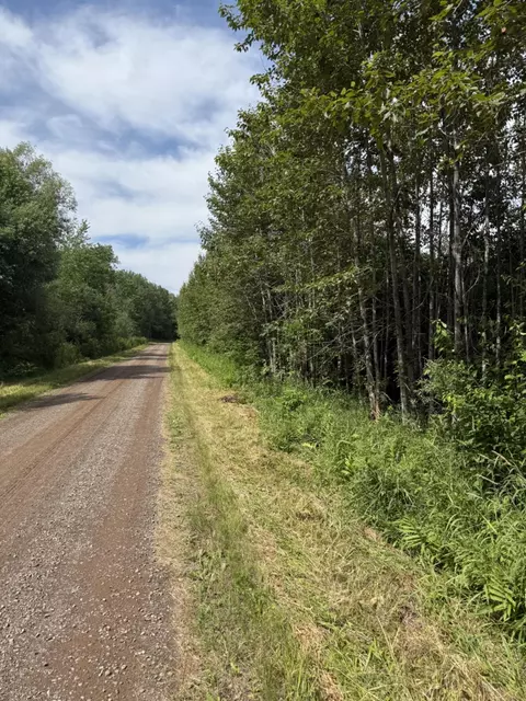 tbd Oestreich Rd, Wright, MN 55798 photo 4