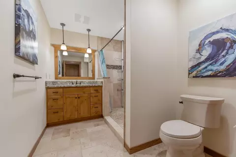 11115 Red Leaf Dr, Rogers, MN 55374 photo 39