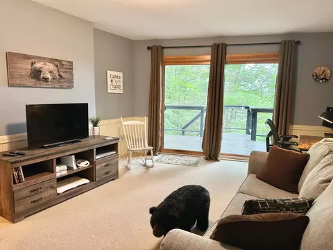 Living - 6714 Shingobee Rd NW, Walker, MN 56484 photo 7 of 7