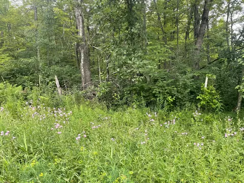 lot23 Winter Trl, Breezy Point, MN 56472