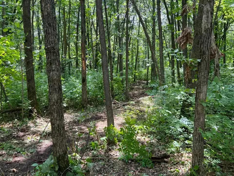 000 Cross Lake Rd, Pine City, MN 55063