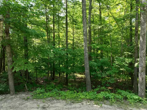 tbd Hillerman Rd NW, Hackensack, MN 56452 photo 5