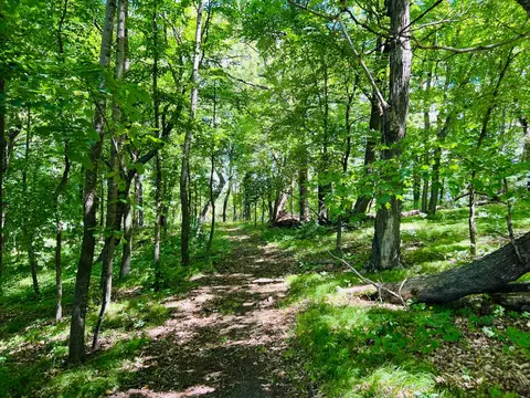 23097- Parcel G State Highway 108, Lida Twp, MN 56572