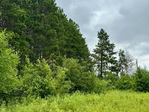tbd 20th St Sw 20 St SW, Pine River, MN 56474 photo 9