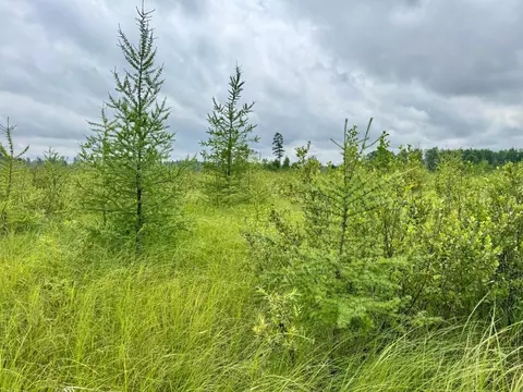 tbd 20th St Sw 20 St SW, Pine River, MN 56474 photo 17