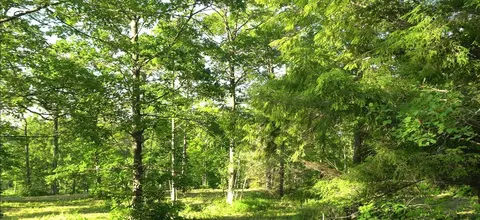 83 Nnn - Lot 6 Ashwabay Heights Rd, Bayfield, WI 54814