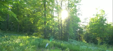 83 Nnn - Lot 7 Ashwabay Rd, Bayfield, WI 54814