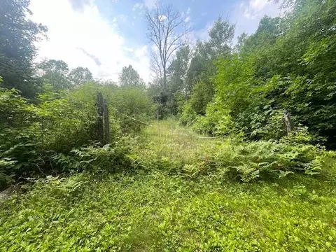 10799 Black Bear Rd, Brainerd, MN 56401 photo 35