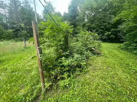 10799 Black Bear Rd, Brainerd, MN 56401 photo 34