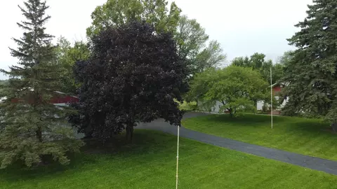 View/Area - 22625 County Road 10, Loretto, MN 55357 photo 2 of 13
