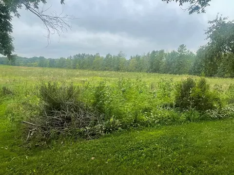 Exterior - 22625 County Road 10, Loretto, MN 55357 photo 12 of 19