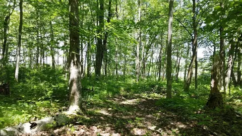 3275 Boreal Ln, Woodrow Twp, MN 56452 photo 23
