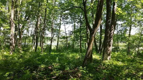 3275 Boreal Ln, Woodrow Twp, MN 56452 photo 24