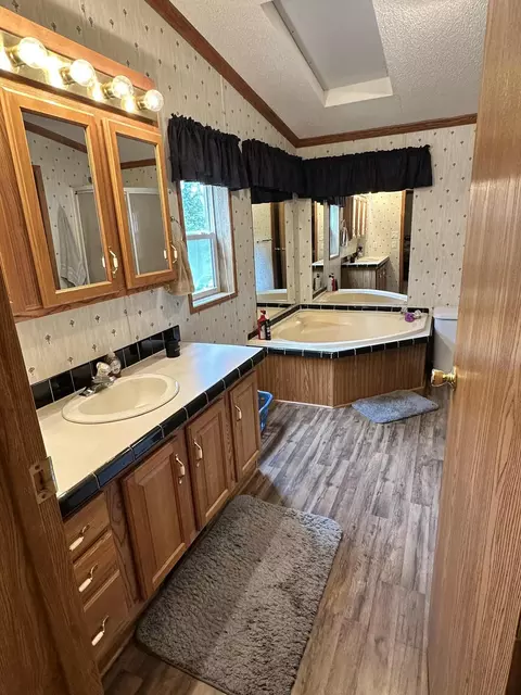 Bath - 19754 Bell Loop, Bagley, MN 56621 photo 2 of 3