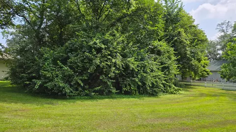 tbd Bluff St, Clearwater, MN 55320